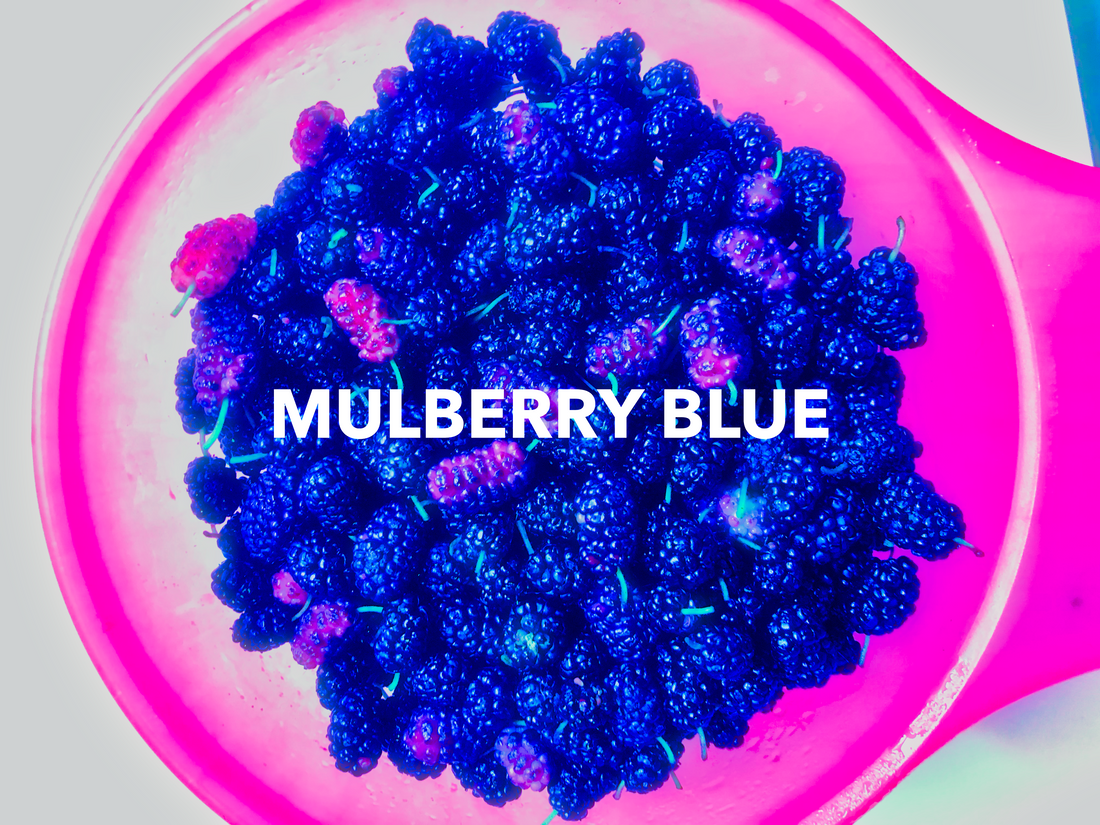 🗂️ The Mulberry Files