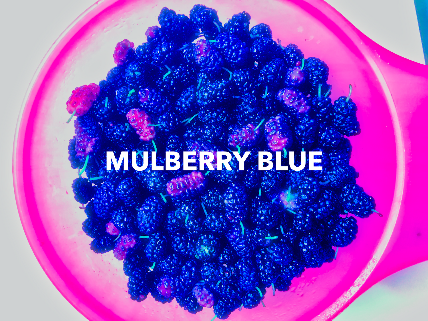 The Mulberry Files™: Every drop echoes the myth